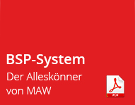 logo bsp system